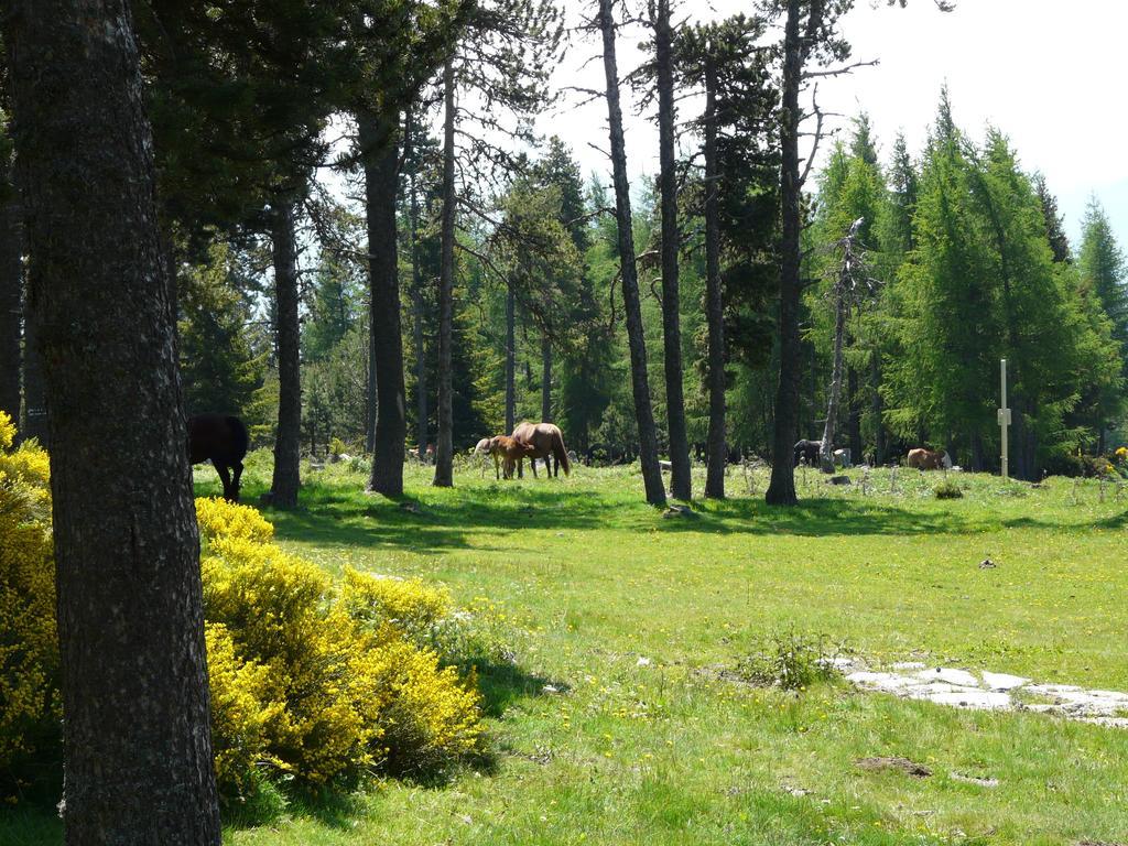 Font Romeu Via Apartman Szoba fotó
